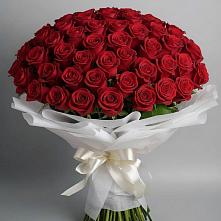 Букет 101 Красная роза Блэк Мэджик в Новозавидовский