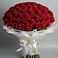 Букет 101 Красная роза Блэк Мэджик в Новозавидовский