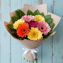 Букет цветов из:  Герберы #REPLACE_PRED# Новозавидовский