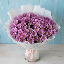 Букет цветов из:  Хризантемы #REPLACE_PRED# Новозавидовский