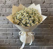 Букет цветов из:  Ромашки в Новозавидовский
