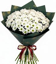 Букет цветов из:  Хризантемы в Новозавидовский