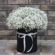 Цветочная композиция из Гипсофила в шляпной коробке в Новозавидовский