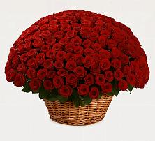 Премиум букет из: Розы в Новозавидовский