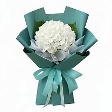 Букет цветов из:  Гортензия в Новозавидовский